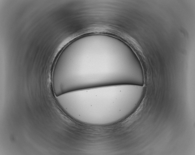 X0000111921226200907271002