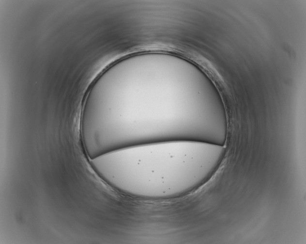 X0000111921228200907271003