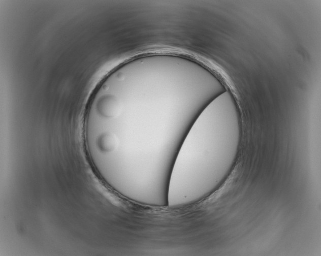 X0000111921231200907271003
