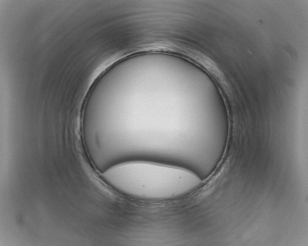 X0000111921234200907271003