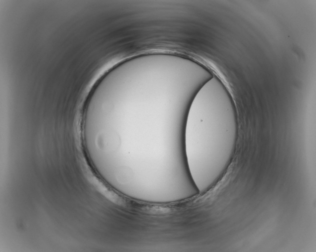 X0000111921235200907271003
