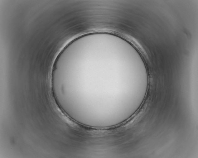 X0000111921236200907271003