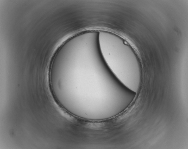 X0000111921237200907271003