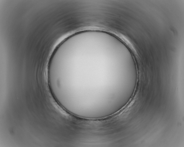 X0000111921238200907271003