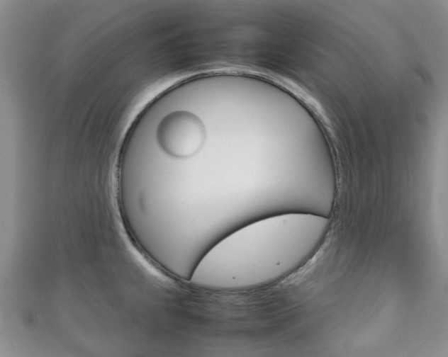 X0000111921239200907271003