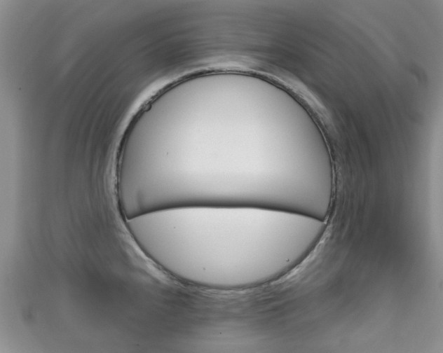X0000111921240200907271003