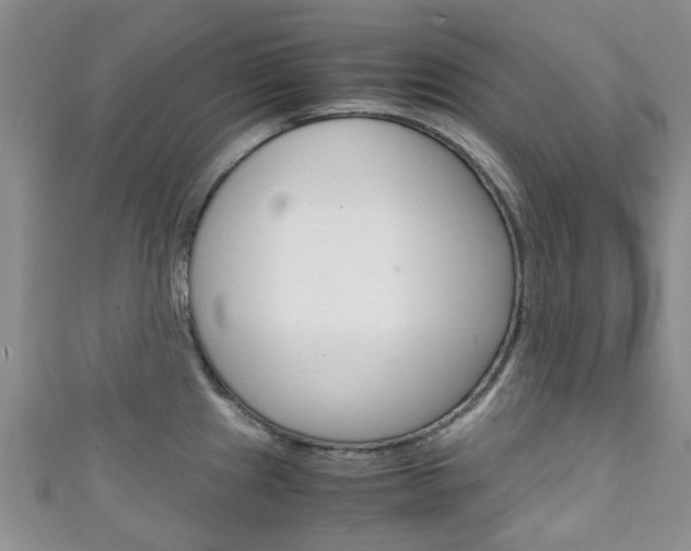 X0000111921241200907271003