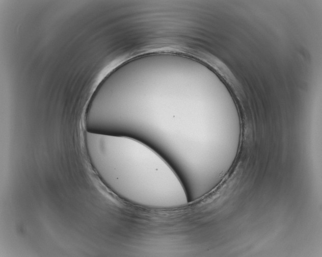 X0000111921242200907271003