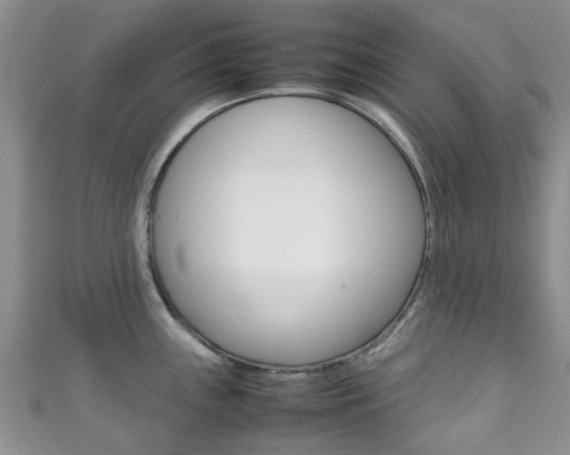 X0000111921243200907271003
