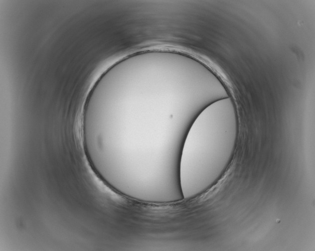 X0000111921247200907271003