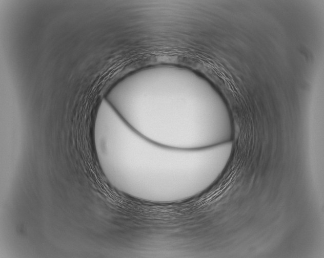 X0000111921249200907271002