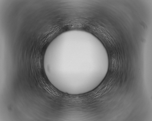 X0000111921250200907271002