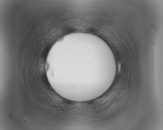 X0000111921251200907271002