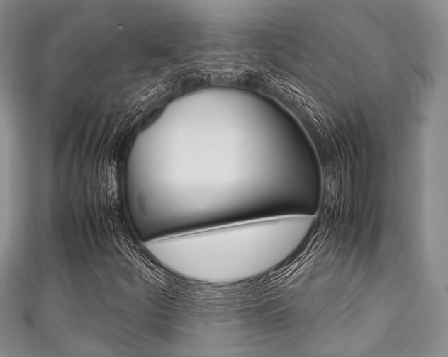 X0000111921252200907271002