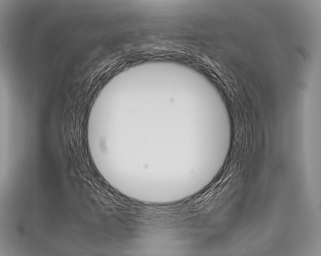 X0000111921253200907271002