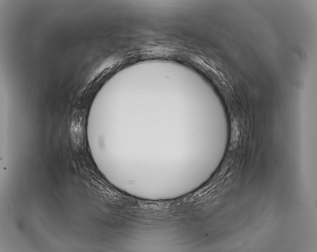 X0000111921254200907271002