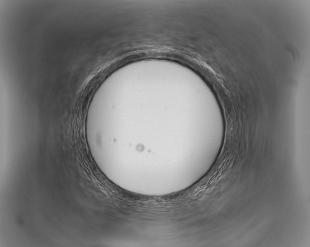 X0000111921255200907271002