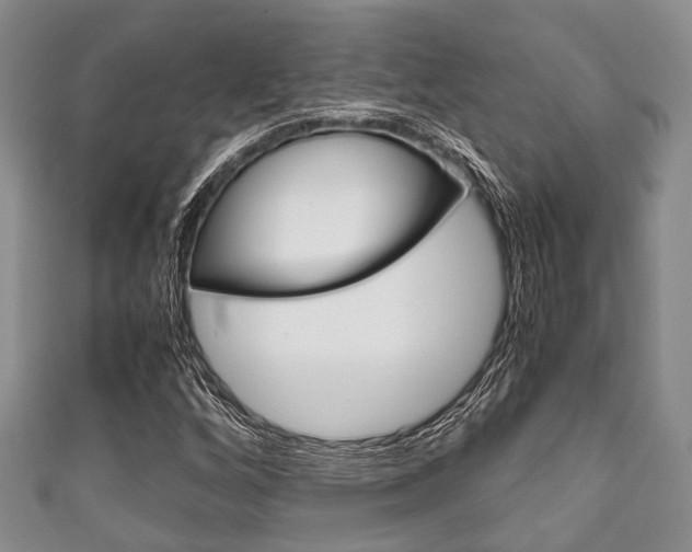 X0000111921256200907271002