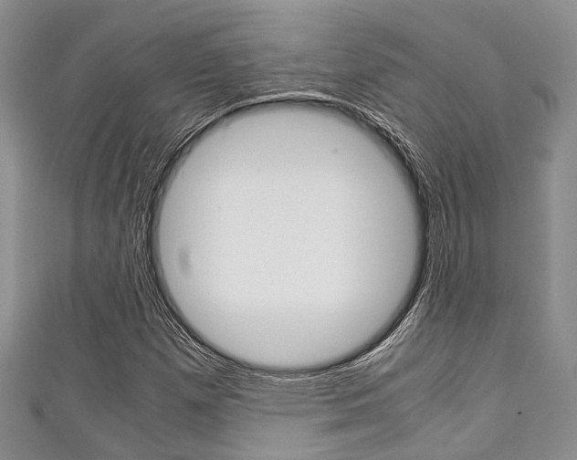 X0000111921257200907271002