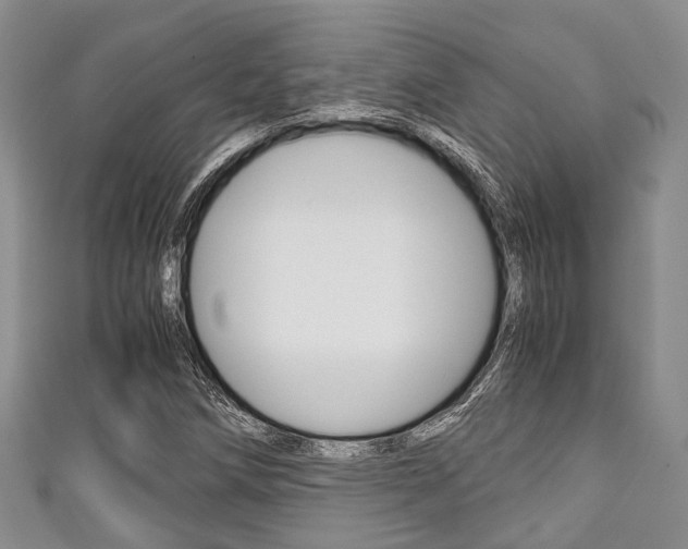 X0000111921258200907271002