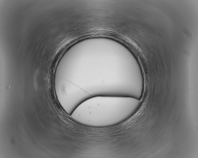 X0000111921259200907271002