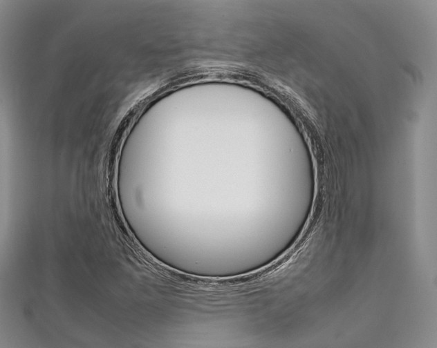 X0000111921261200907271002