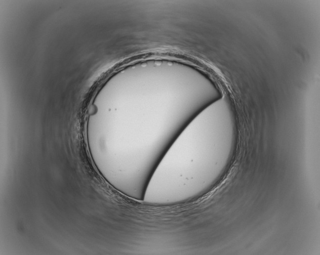 X0000111921263200907271002