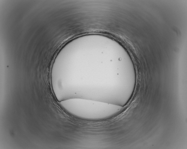 X0000111921265200907271002
