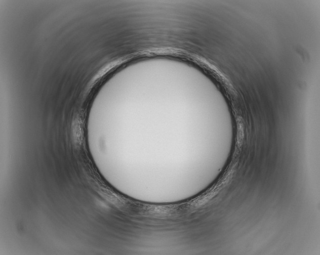 X0000111921266200907271002