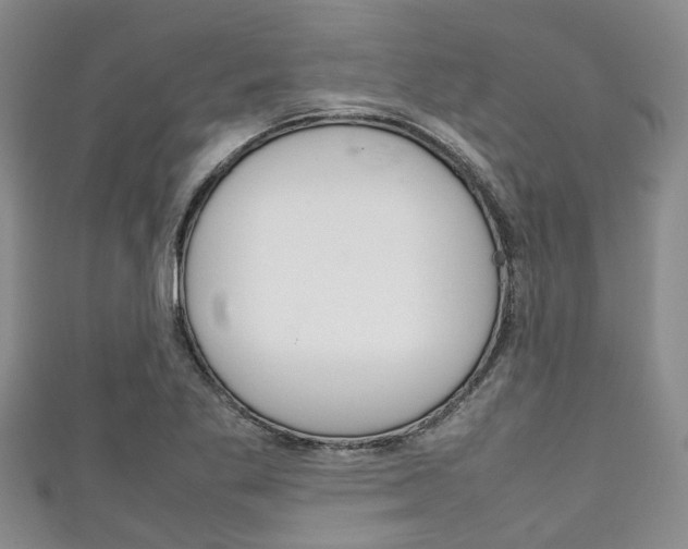 X0000111921269200907271002