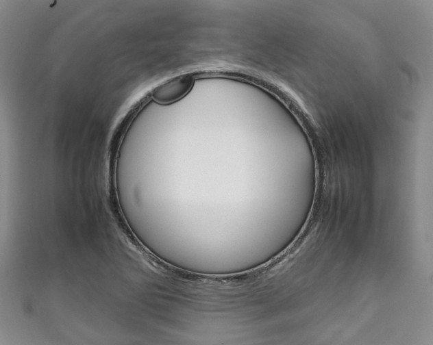 X0000111921270200907271002