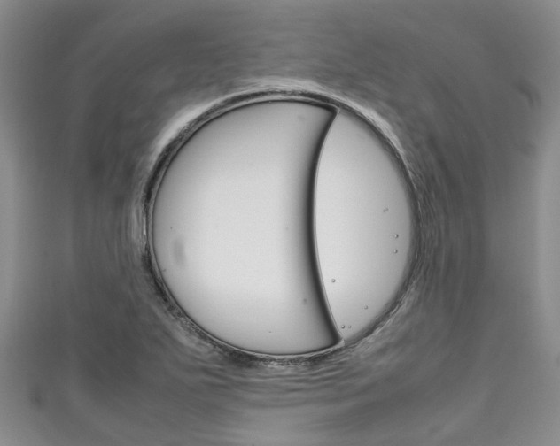 X0000111921271200907271002