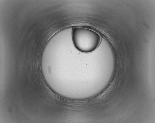 X0000111921273200907271002