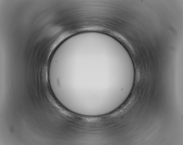 X0000111921274200907271002