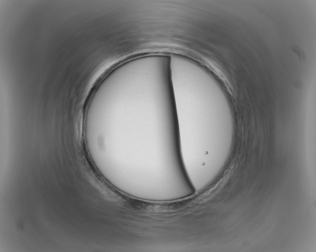 X0000111921275200907271002