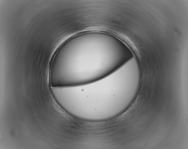 X0000111921276200907271002