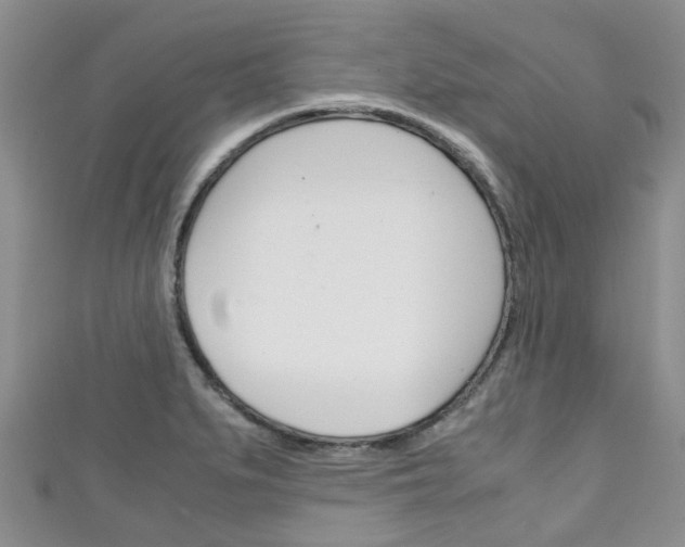 X0000111921279200907271002