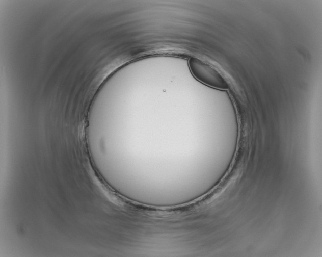 X0000111921281200907271002