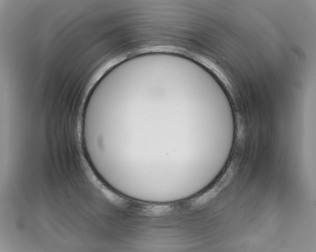 X0000111921282200907271002