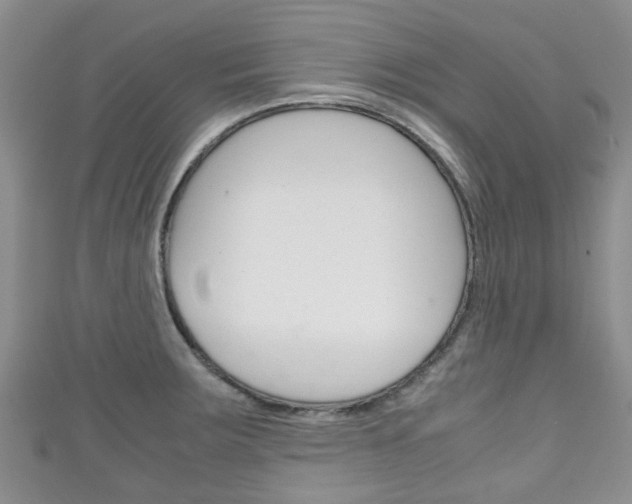 X0000111921283200907271002