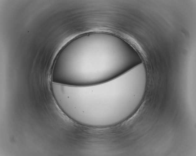 X0000111921284200907271002