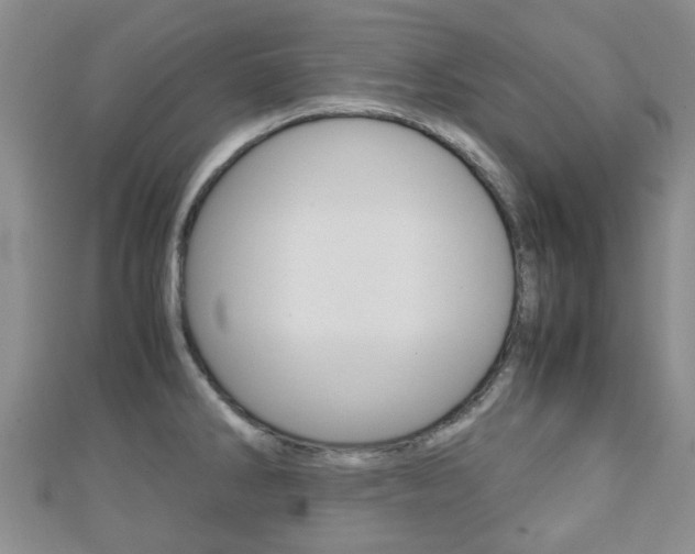 X0000111921286200907271002