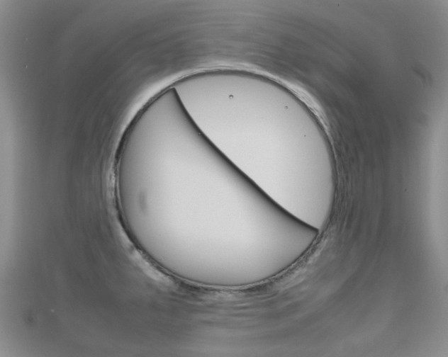 X0000111921287200907271002