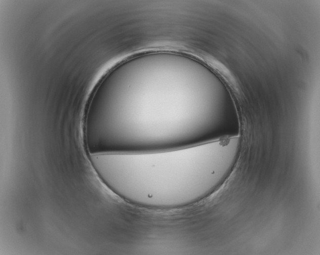 X0000111921288200907271002