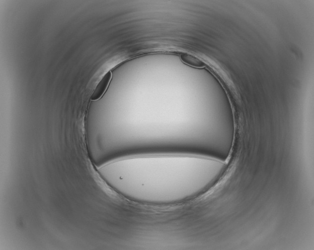 X0000111921289200907271002