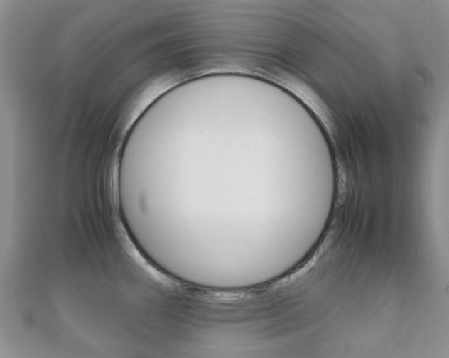 X0000111921290200907271002