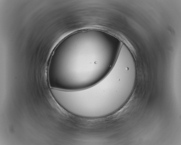 X0000111921292200907271002