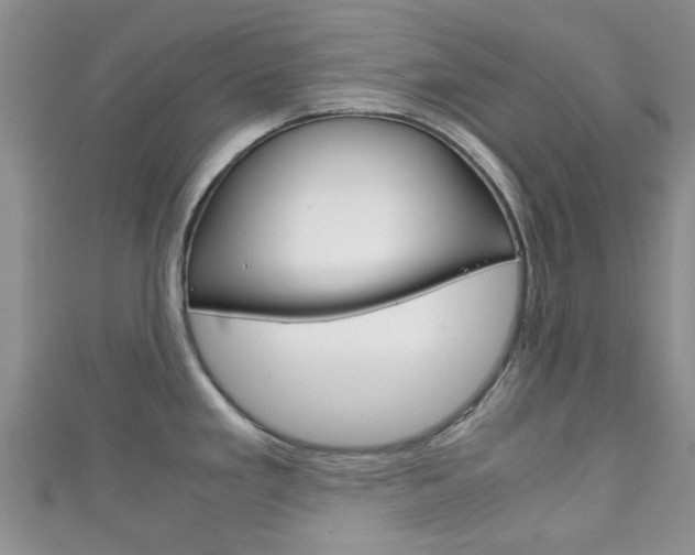 X0000111921293200907271002
