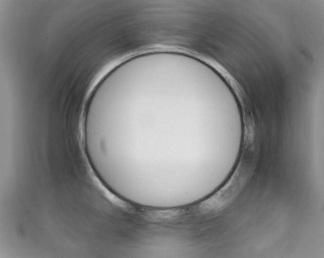 X0000111921294200907271002