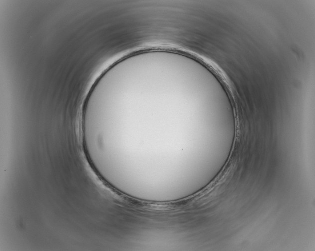 X0000111921295200907271002